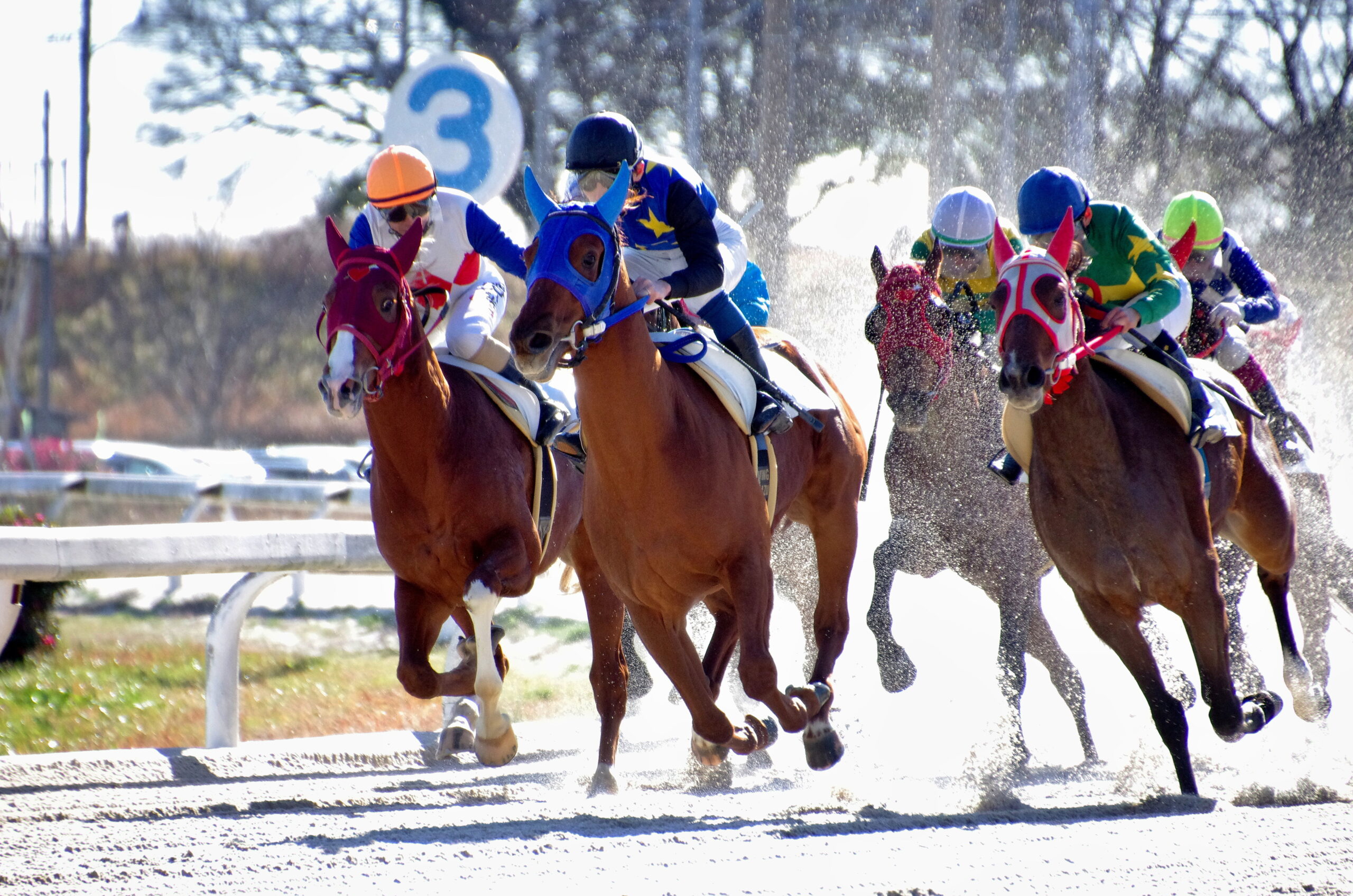 競馬予想サイト おすすめ