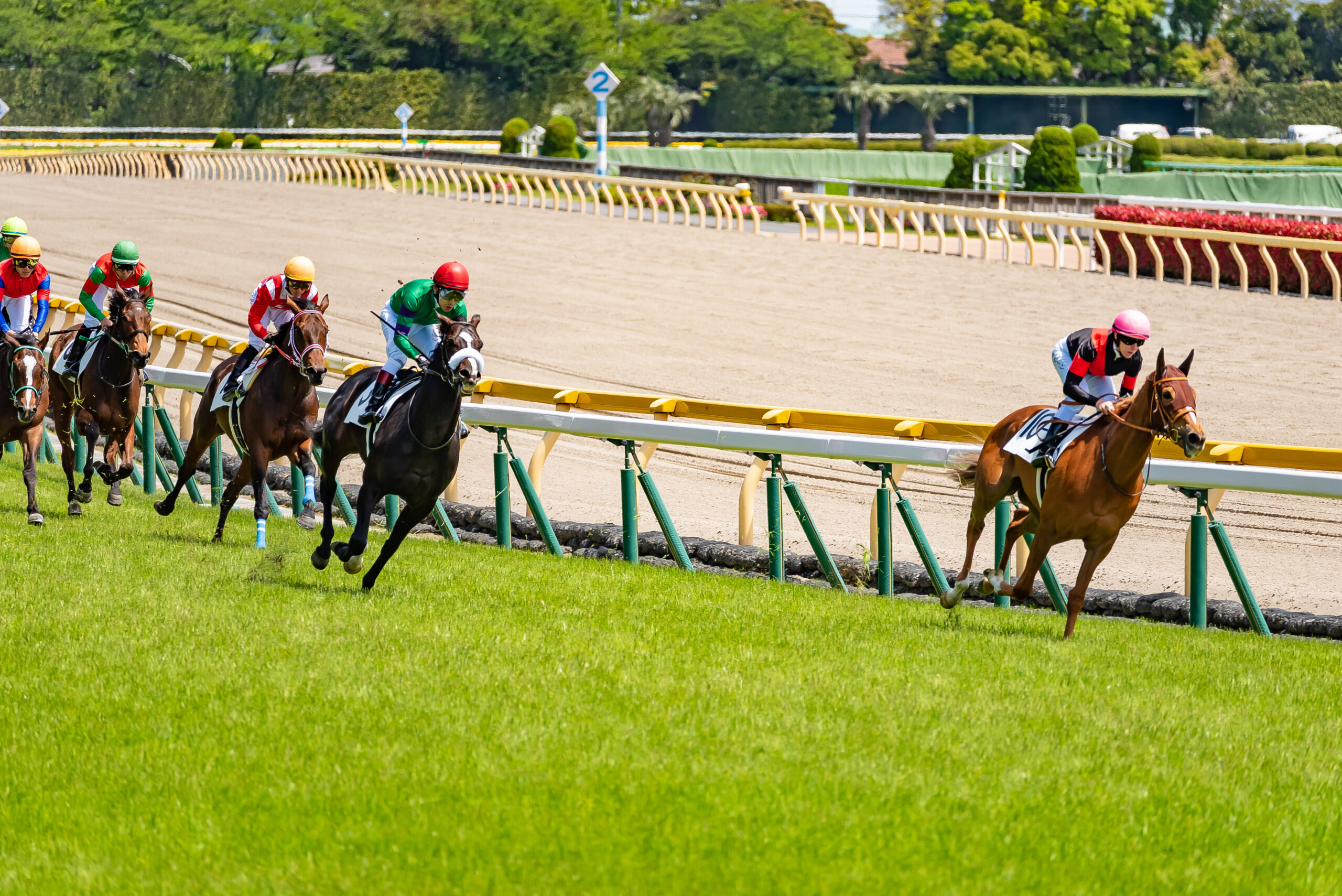 競馬予想サイト おすすめ