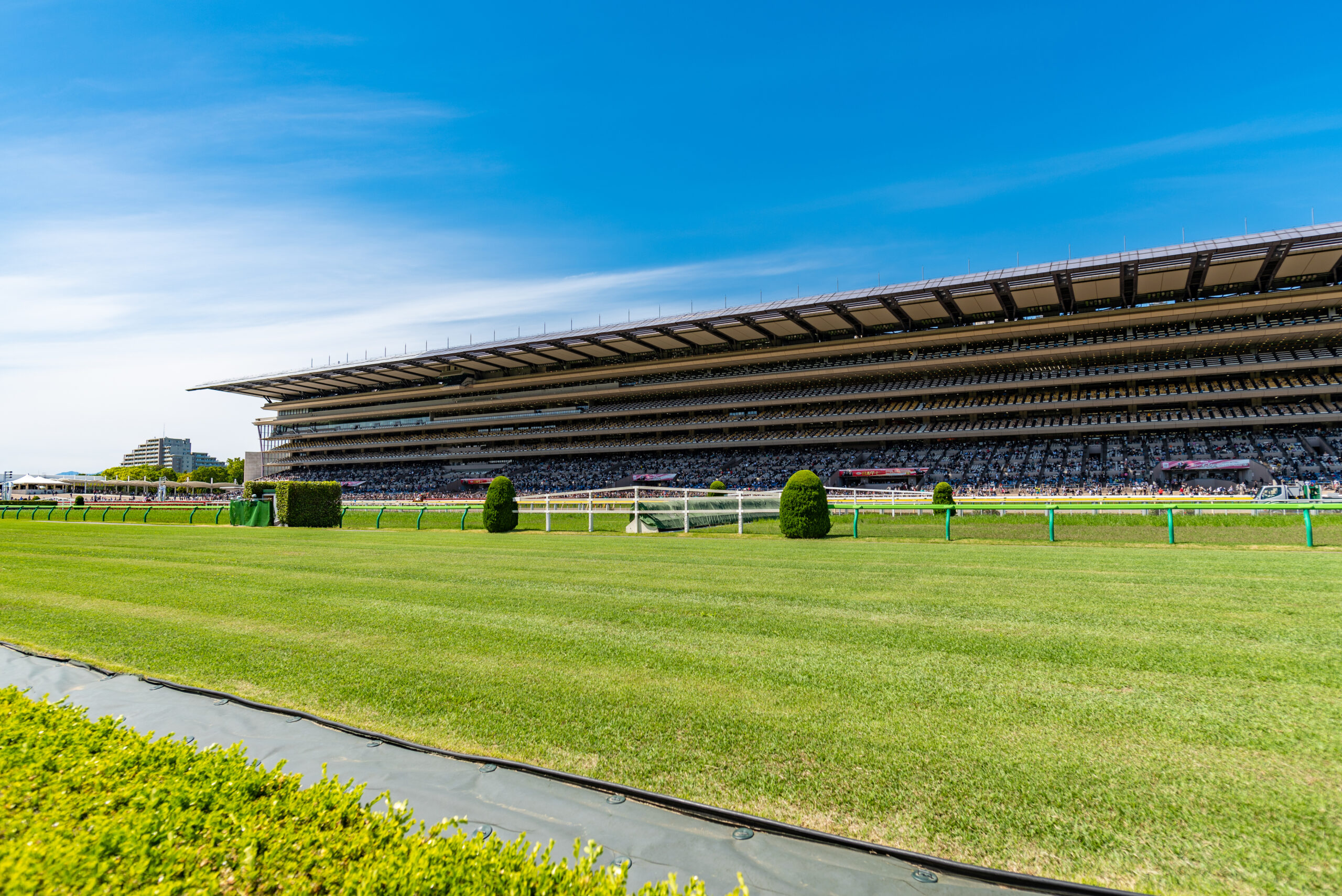 競馬予想サイト おすすめ