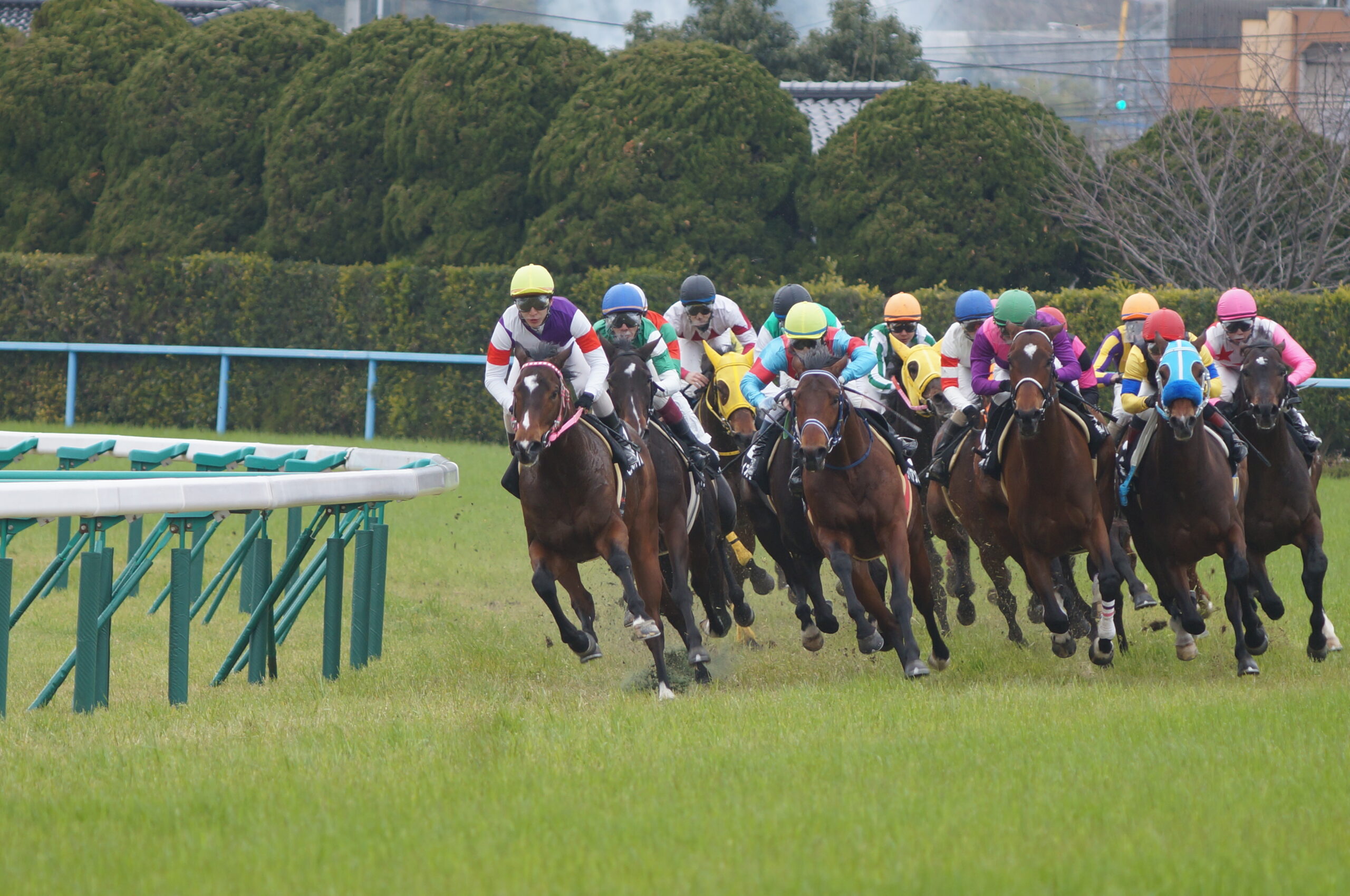 競馬予想サイト おすすめ