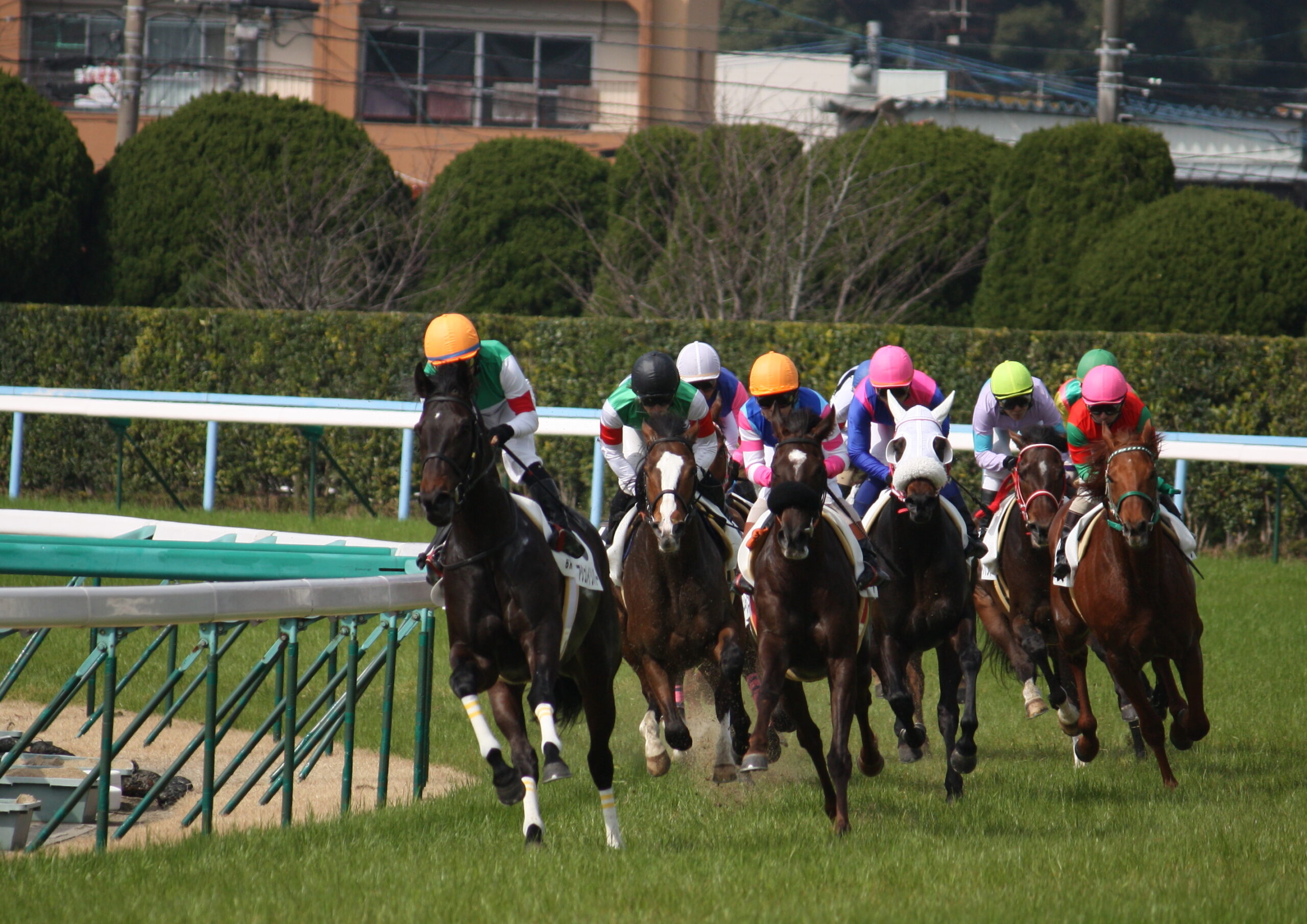 競馬予想サイト おすすめ