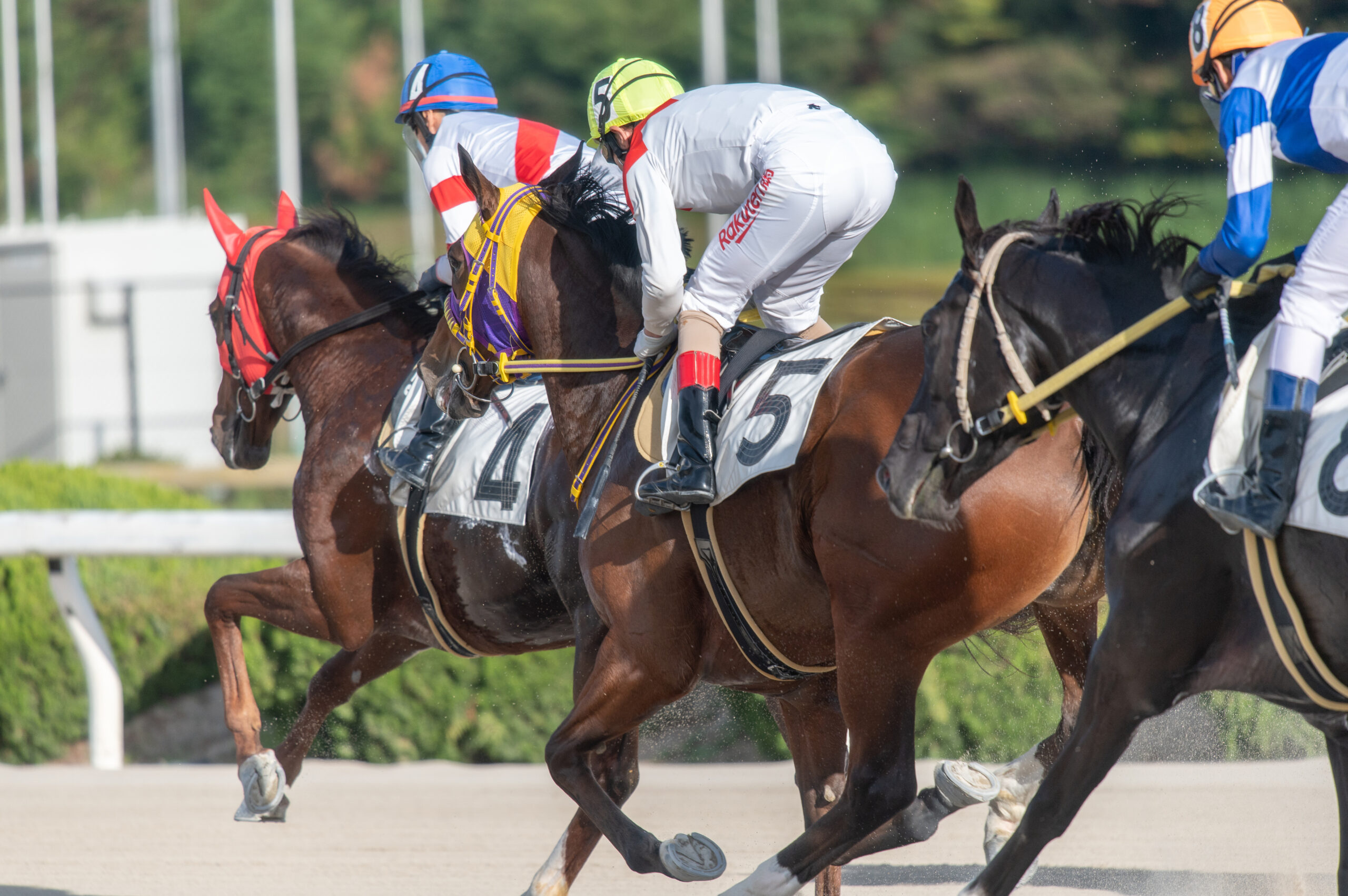 競馬予想サイト おすすめ