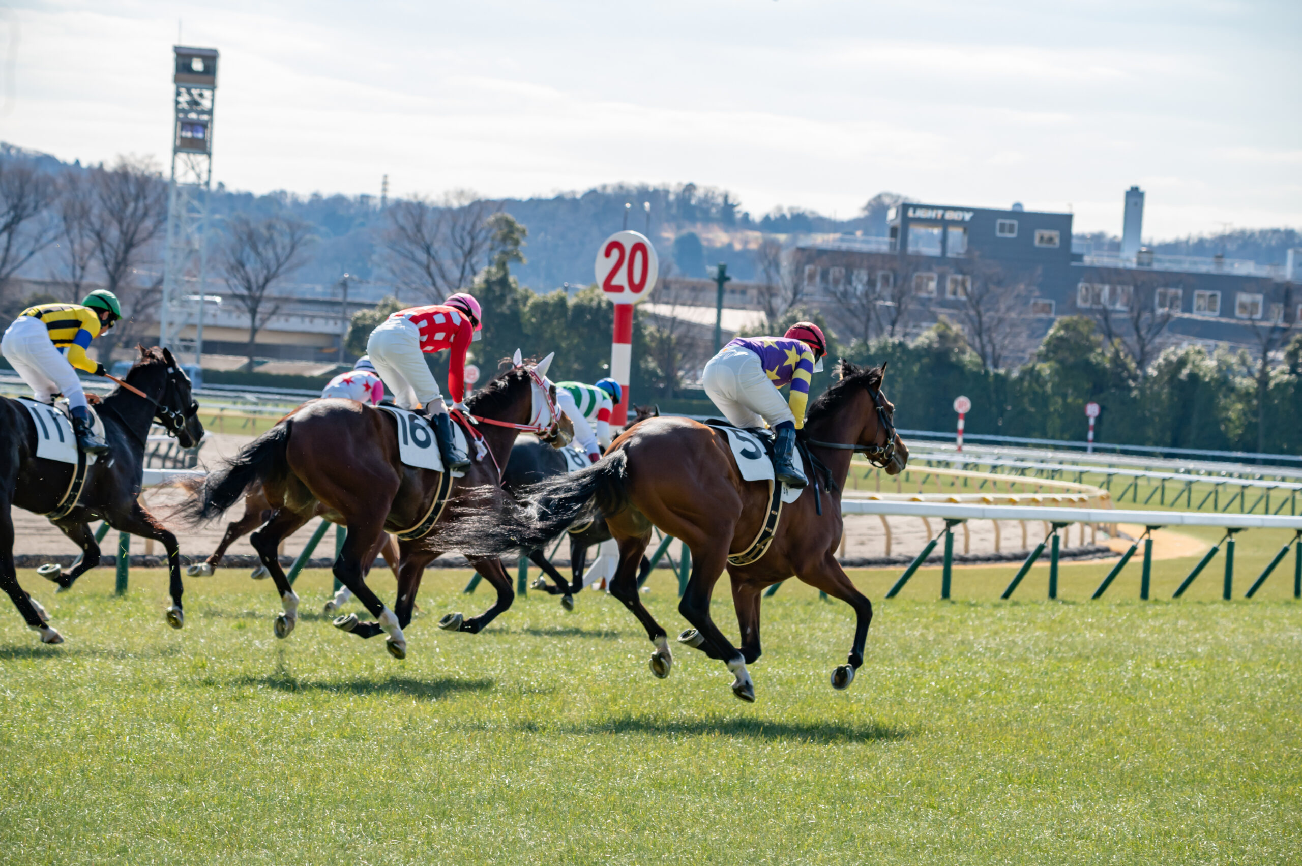 競馬予想サイト おすすめ
